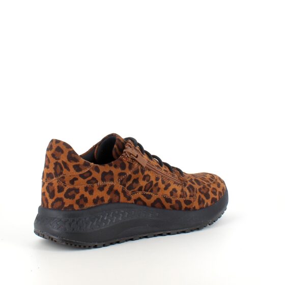 Green Comfort sko med leopardmønster og dobbel lukking