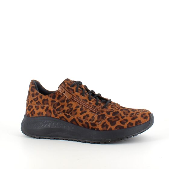 Green Comfort sko med leopardmønster og dobbel lukking